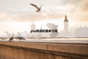 pta球员的简单介绍