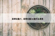 足球位置rf，足球位置rm是什么意思