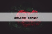 波黑队俄罗斯？ 波黑队名单？