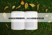 青海省足球联赛软件，2021青海省足球比赛