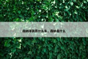森纳球员开什么车，森纳是什么