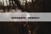 深圳布吉曼城学校？ 布吉慢城学位？