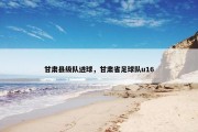 甘肃县级队进球，甘肃省足球队u16