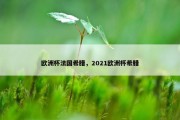 欧洲杯法国希腊，2021欧洲杯希腊