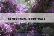 斯诺克左右手均衡球员（斯诺克左手职位选手）