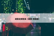 胡莱足球球员（胡莱 利兹联）