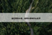 追忆球员小说，追球小说叫什么名字