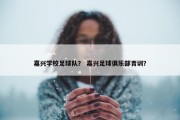 嘉兴学校足球队？ 嘉兴足球俱乐部青训？