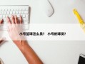 小号篮球怎么员？ 小号的球员？