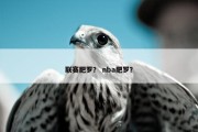 联赛肥罗？ nba肥罗？