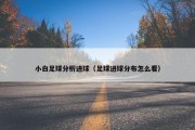 小白足球分析进球（足球进球分布怎么看）