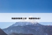韩国排球联赛工资？ 韩国排球协会？
