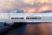 青岛足球小联赛，青岛足球联赛2025