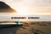 皇马教练搞笑图片？ 皇马教练排名？
