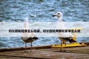切尔西靴鞋带怎么隐藏，切尔西靴两侧松紧带怎么修