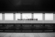 fm2017cm的简单介绍