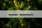 欧冠场地加夫？ 欧冠附加赛有加时吗？