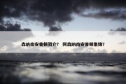 森纳南安普顿简介？ 阿森纳南安普顿集锦？