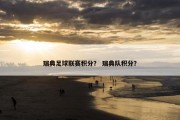 瑞典足球联赛积分？ 瑞典队积分？