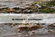 哪个球队叫红牛？ 红牛赞助的球队？