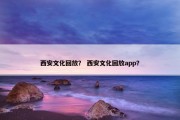 西安文化回放？ 西安文化回放app？