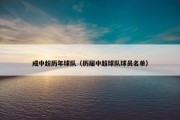 成中超历年球队（历届中超球队球员名单）