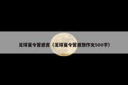 足球夏令营感言（足球夏令营感想作文500字）
