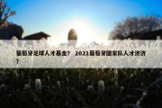 葡萄牙足球人才基金？ 2021葡萄牙国家队人才济济？