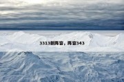 3313新阵容，阵容343