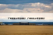 广州龙溪小学足球队？ 广州石化小学足球队？