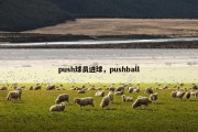 push球员进球，pushball