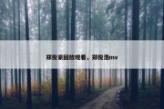 郑俊豪回放观看，郑俊浩mv