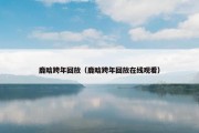 鹿晗跨年回放（鹿晗跨年回放在线观看）