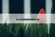 叶小欢足球进球的简单介绍