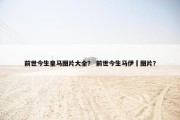 前世今生皇马图片大全？ 前世今生马伊琍图片？