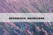 曼联足球狼队积分榜，曼联对狼队比赛结果