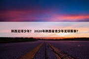 陕西足球少年？ 2020年陕西省青少年足球赛事？