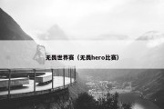 无畏世界赛（无畏hero比赛）