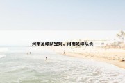 河南足球队宝妈，河南足球队长