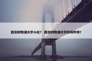 西交利物浦大学小吃？ 西交利物浦大学校风咋样？