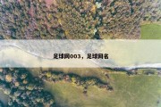 足球网003，足球网名