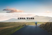 红男球员，红土球员