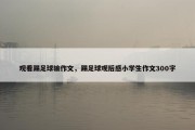 观看踢足球输作文，踢足球观后感小学生作文300字