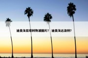 迪奥戈若塔利物浦图片？ 迪奥戈达洛特？