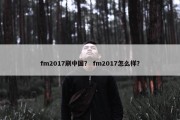 fm2017刷中国？ fm2017怎么样？