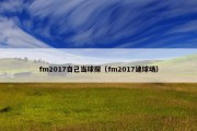 fm2017自己当球探（fm2017建球场）