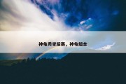 神龟秀季后赛，神龟组合