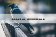 足球队关系文案，关于足球球队的文案