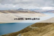srks篮球队（篮球队sg是什么）