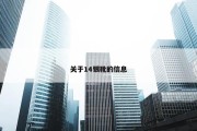 关于14银靴的信息